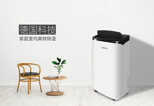 除濕機選購指南 詳解不同模式，找到最適合你的那一款